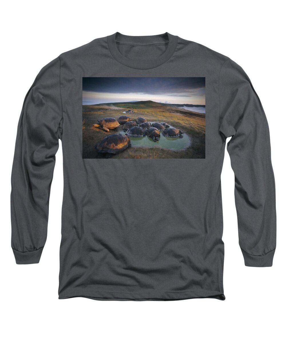 Feb0514 Long Sleeve T-Shirt featuring the photograph Galapagos Giant Tortoise Wallowing by Tui De Roy