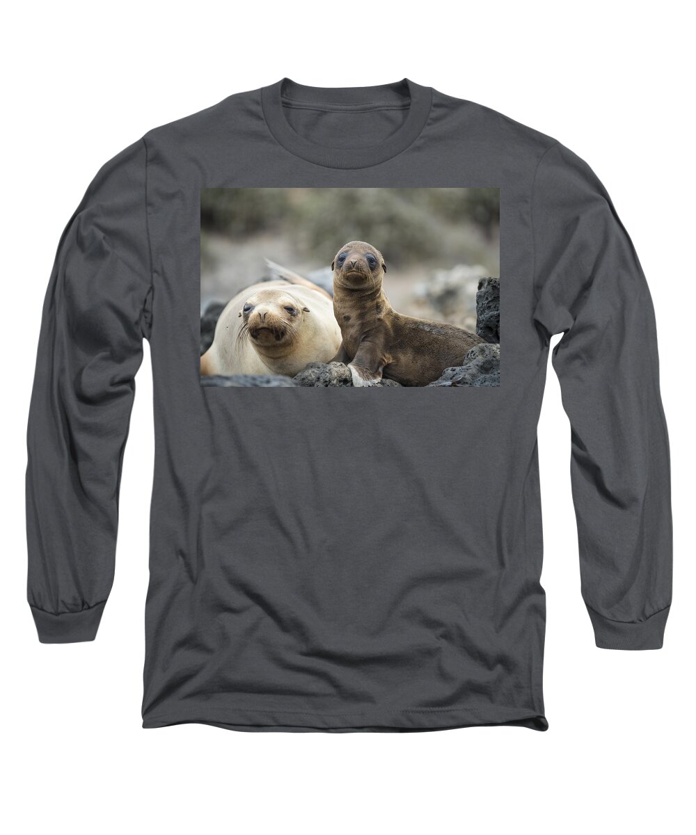 Tui De Roy Long Sleeve T-Shirt featuring the photograph Galapagos Sea Lion And Pup Champion by Tui De Roy