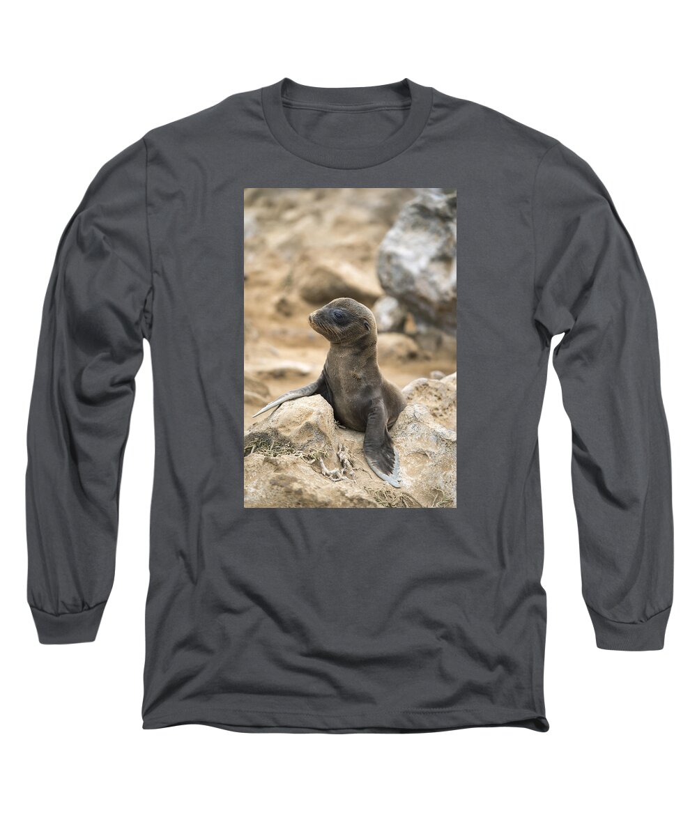 Tui De Roy Long Sleeve T-Shirt featuring the photograph Galapagos Sea Lion Pup Champion Islet by Tui De Roy