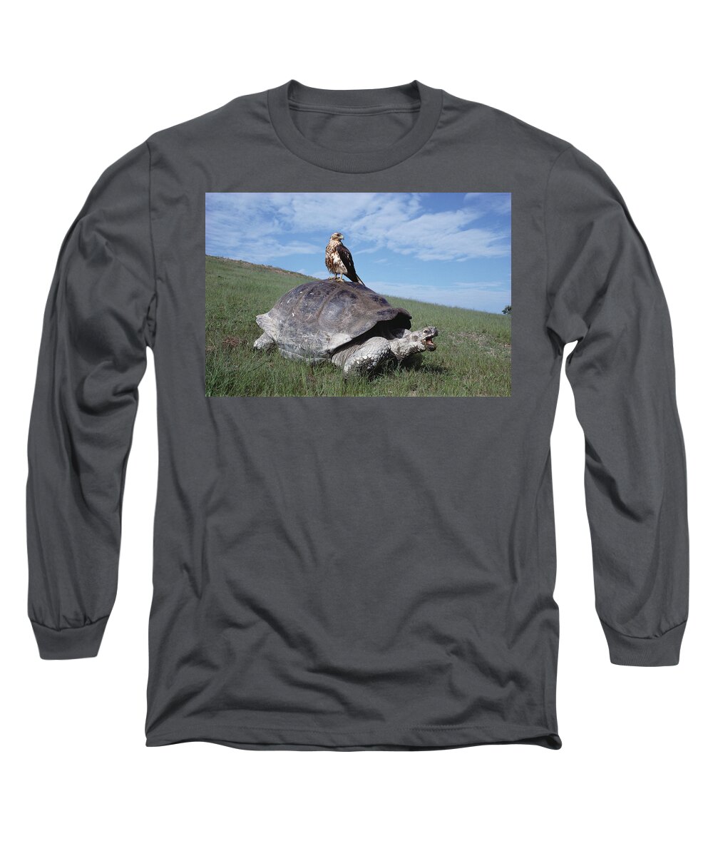 00140050 Long Sleeve T-Shirt featuring the photograph Giant Tortoise and Galapagos Hawk by Tui De Roy