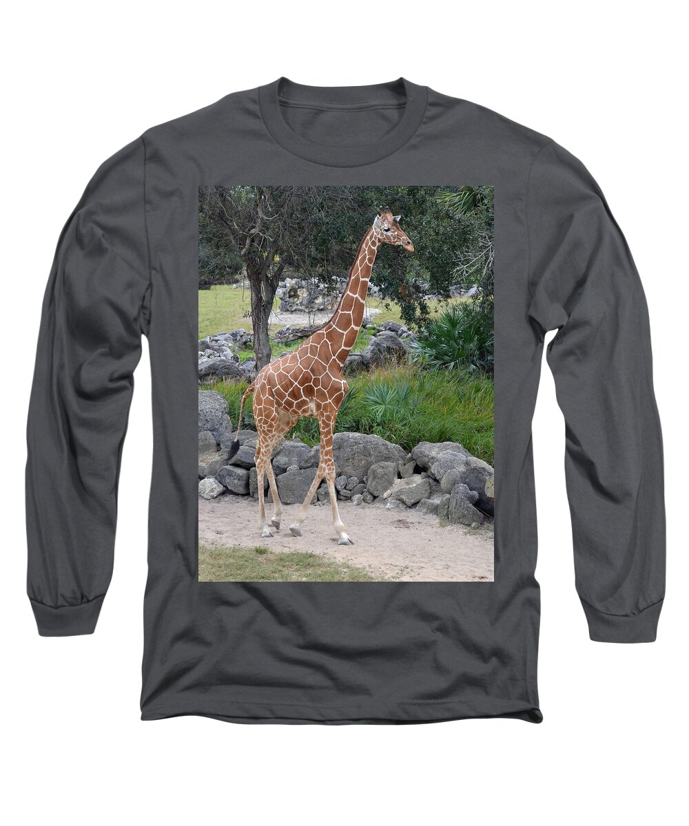 Giraffe Long Sleeve T-Shirt featuring the photograph Giraffe on the Go by Richard Bryce and Family