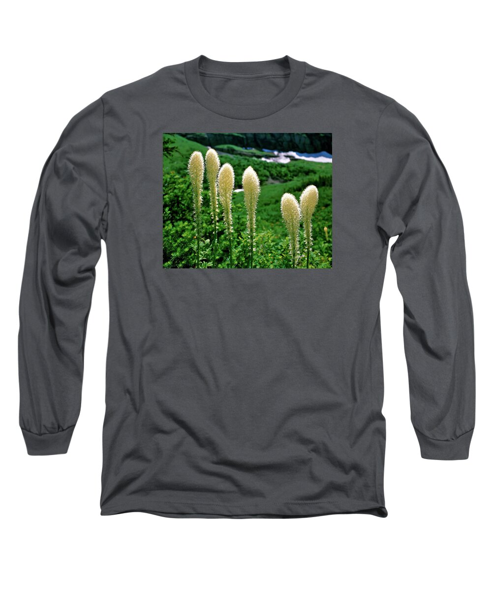 Beargrass Wildflowers Long Sleeve T-Shirt featuring the photograph Glacier Beargrass Swiftcurrent Pass by Ed Riche