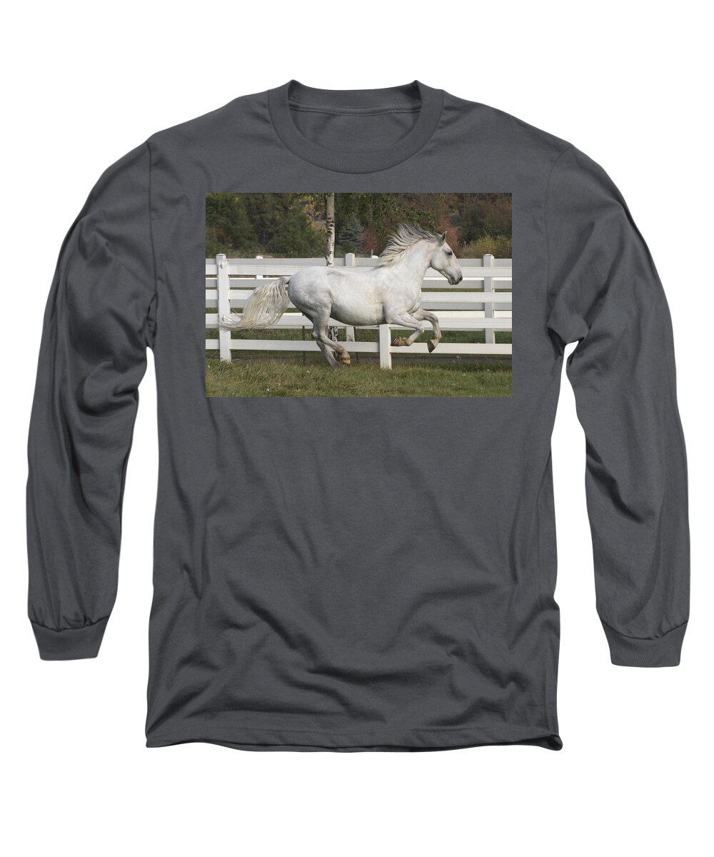 Glorious Gunther Long Sleeve T-Shirt featuring the photograph Glorious Gunther by Wes and Dotty Weber