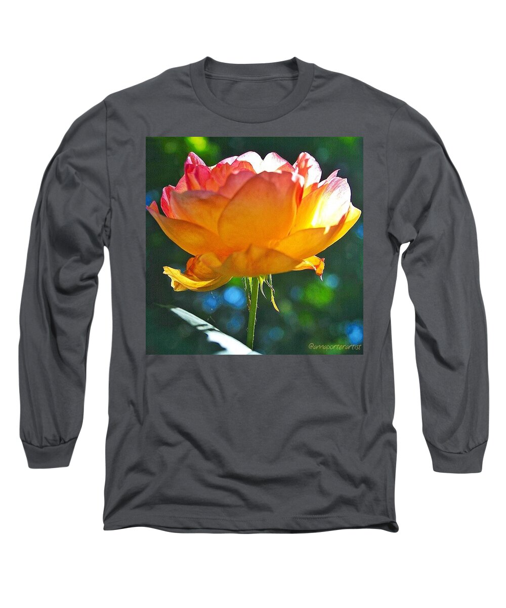 Golden Long Sleeve T-Shirt featuring the photograph Golden Delights in annasgardens by Anna Porter