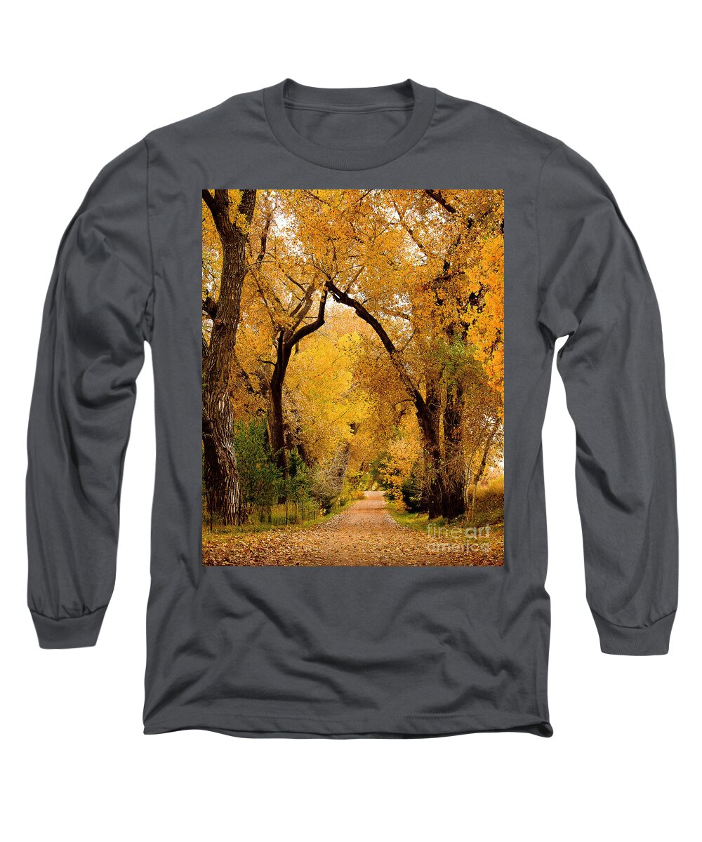 Landscape Long Sleeve T-Shirt featuring the photograph Golden Roads by Steven Reed