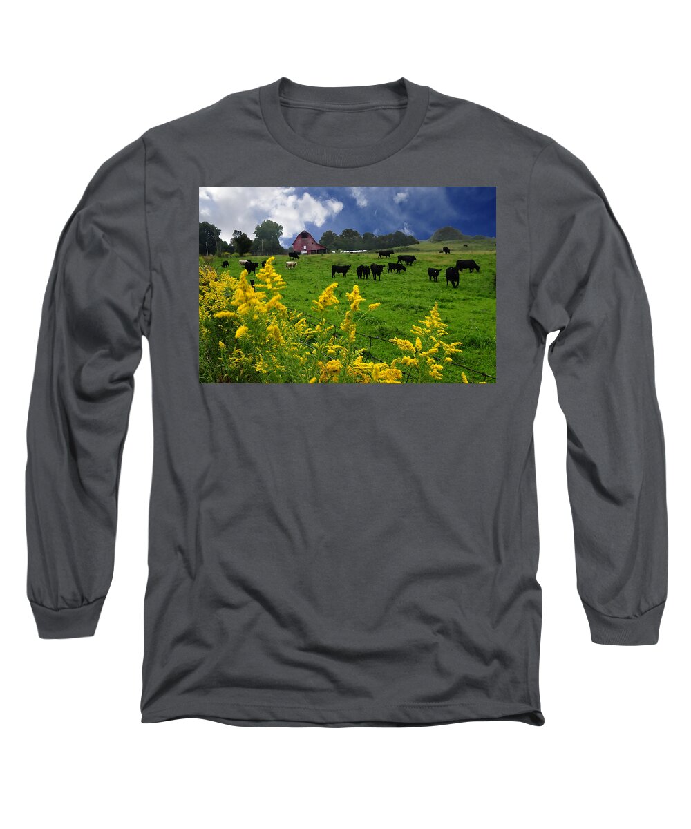 Golden Rod Long Sleeve T-Shirt featuring the photograph Golden Rod Black Angus Cattle by Randall Branham