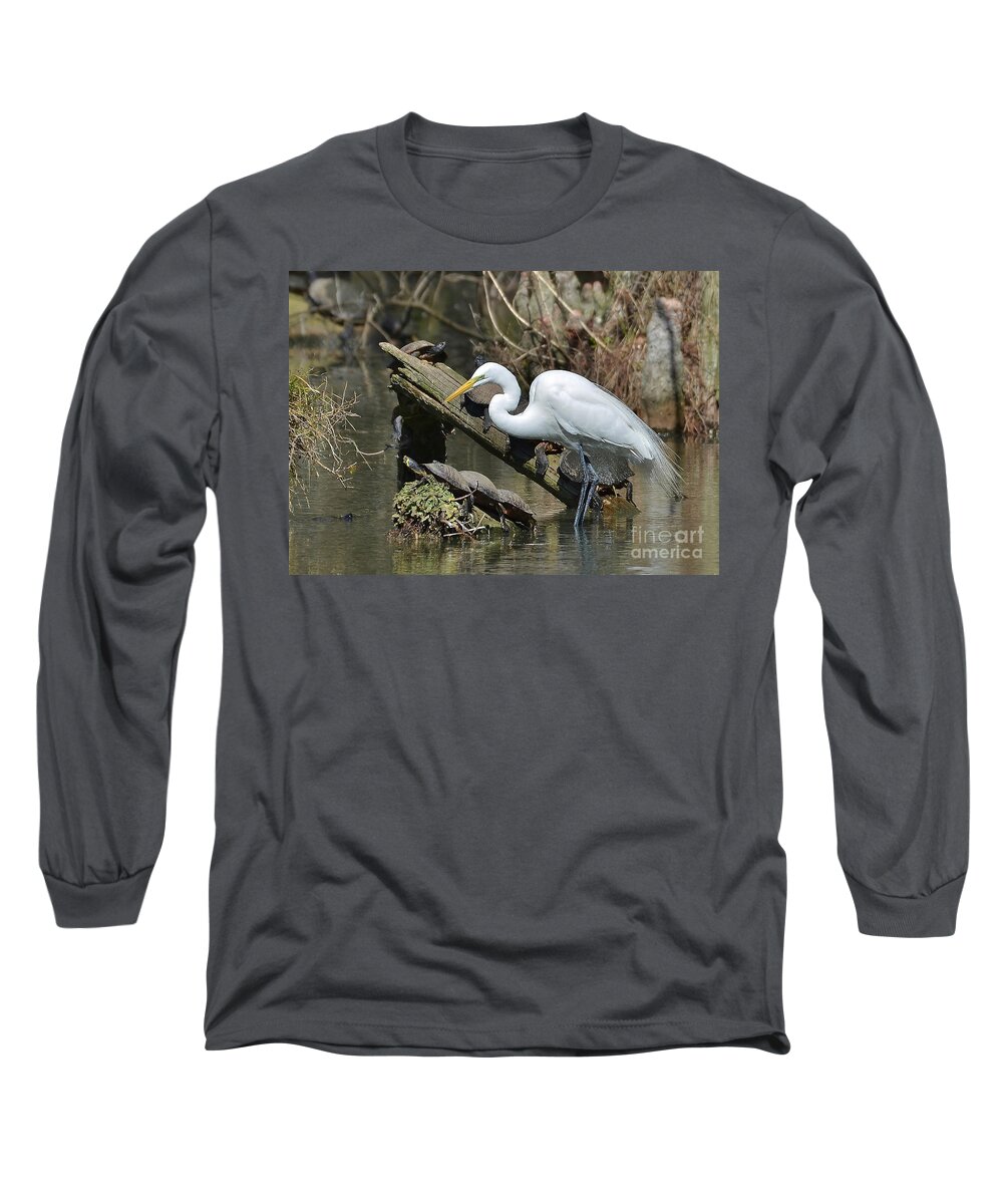 Egret Long Sleeve T-Shirt featuring the photograph Great Egret In The Swamps by Kathy Baccari