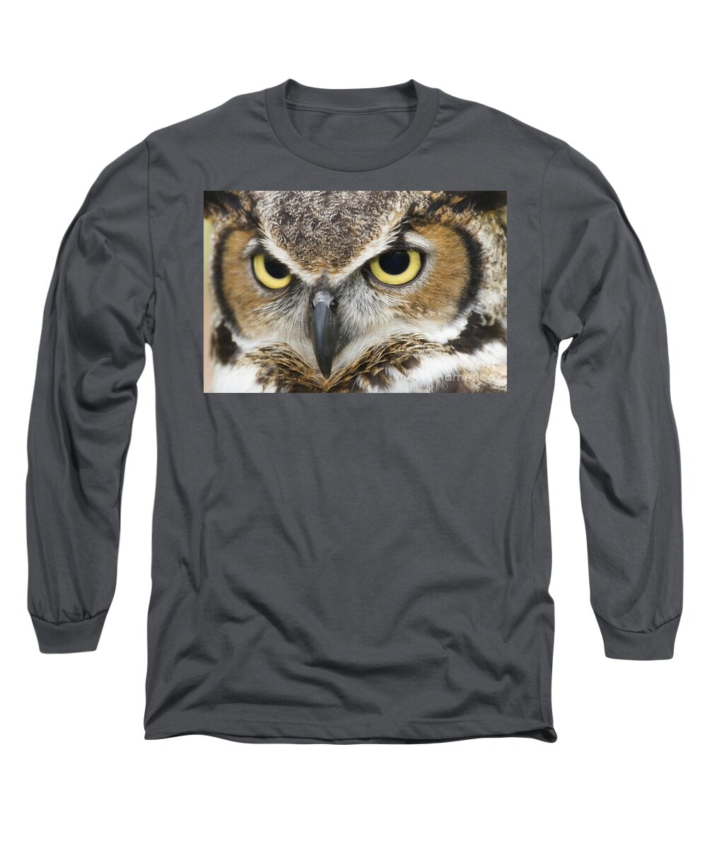 Great Horned Owls Long Sleeve T-Shirt featuring the photograph Great Horned Owl by Jill Lang