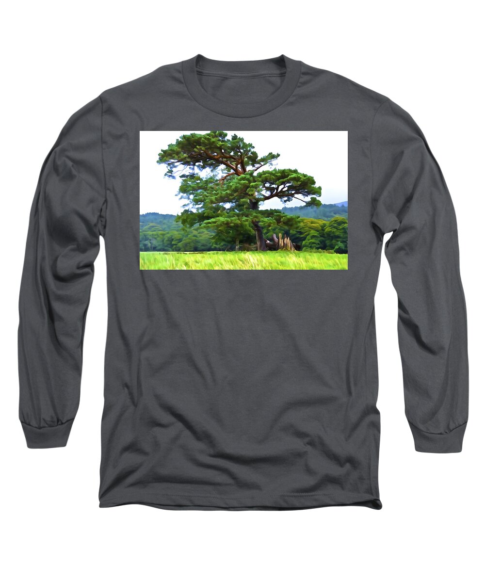 Pine Tree Long Sleeve T-Shirt featuring the photograph Great Pine by Norma Brock