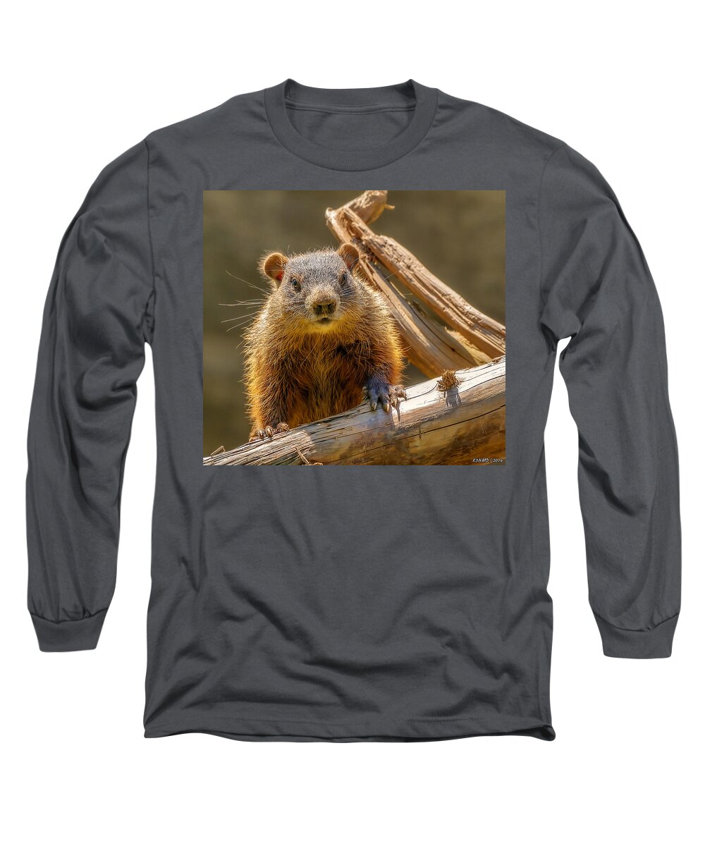 Shubenacadie Long Sleeve T-Shirt featuring the photograph Ground Hog by Ken Morris