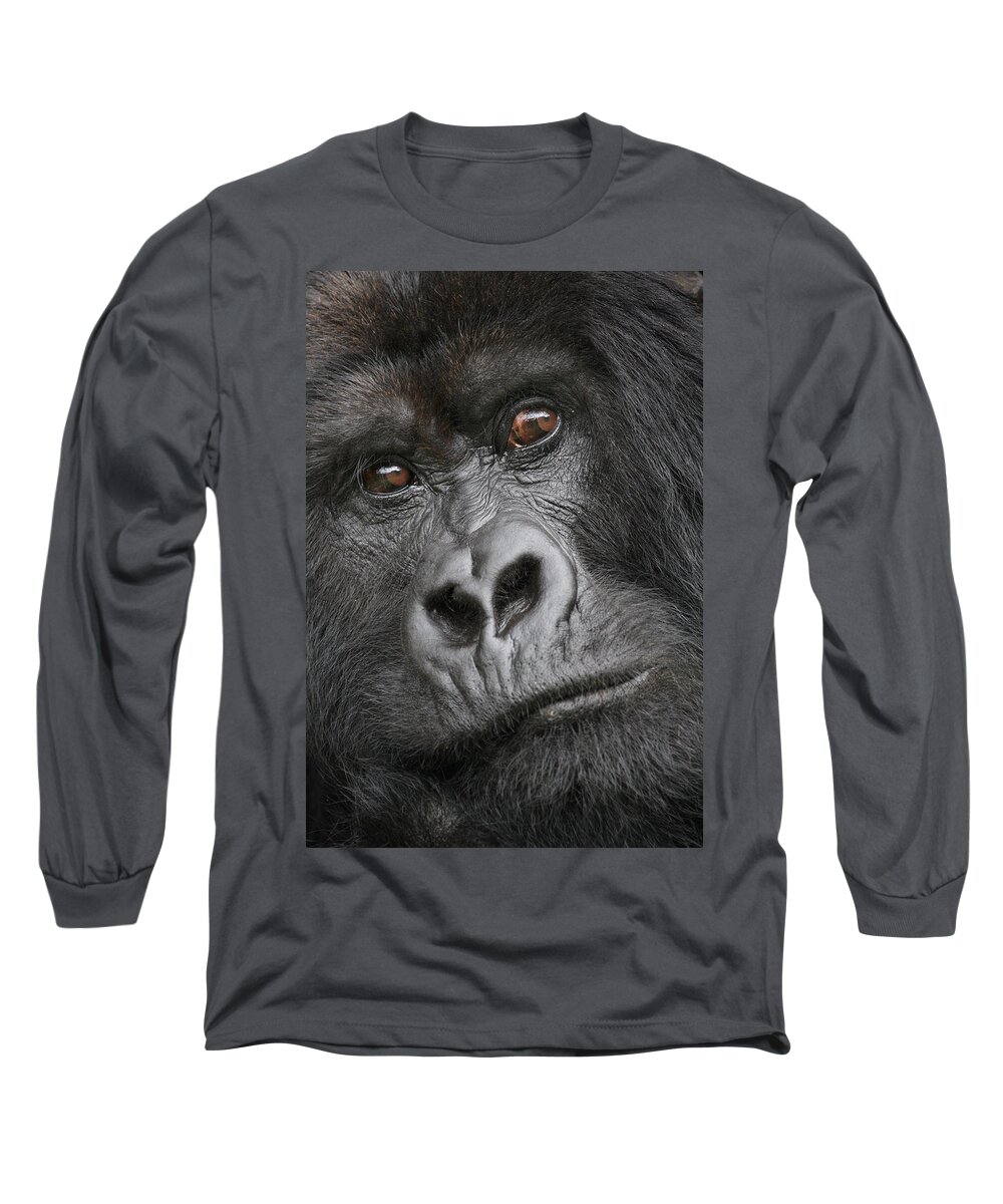 Mountain Gorilla Long Sleeve T-Shirt featuring the photograph Guhonda 2 by David Beebe