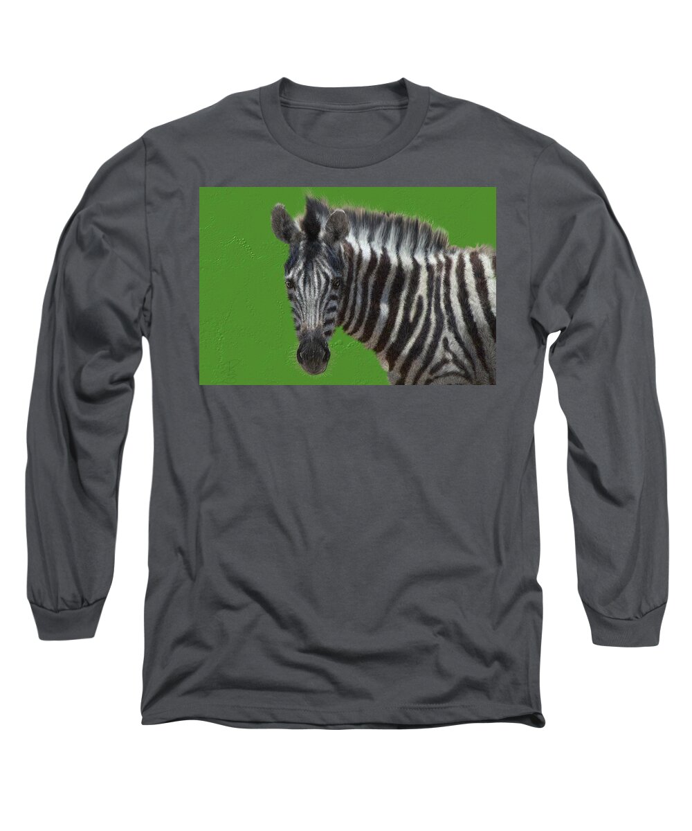 Zebra Long Sleeve T-Shirt featuring the digital art Hairy zebra by Debra Baldwin