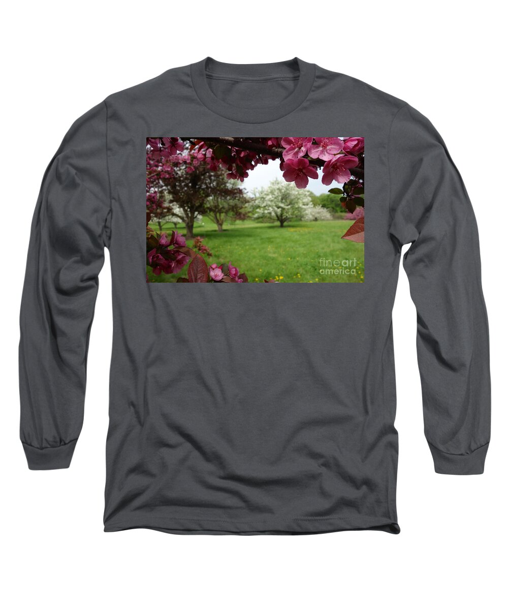 Budding Long Sleeve T-Shirt featuring the photograph Hawthorne Grove 2 by Jacqueline Athmann