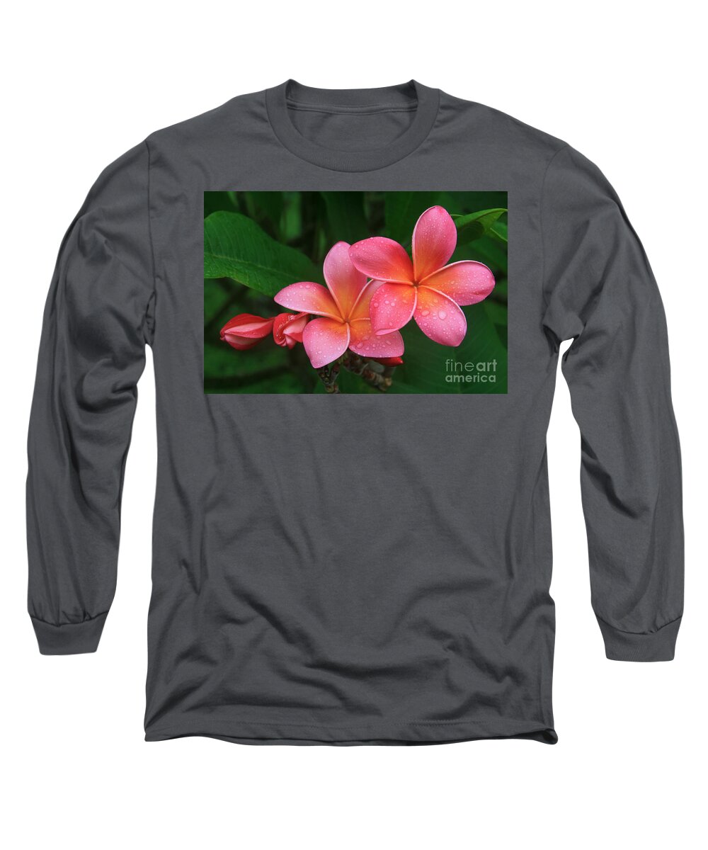 Pink Plumeria Long Sleeve T-Shirt featuring the photograph He pua laha ole Hau oli Hau oli oli Pua Melia hae Maui Hawaii Tropical Plumeria by Sharon Mau