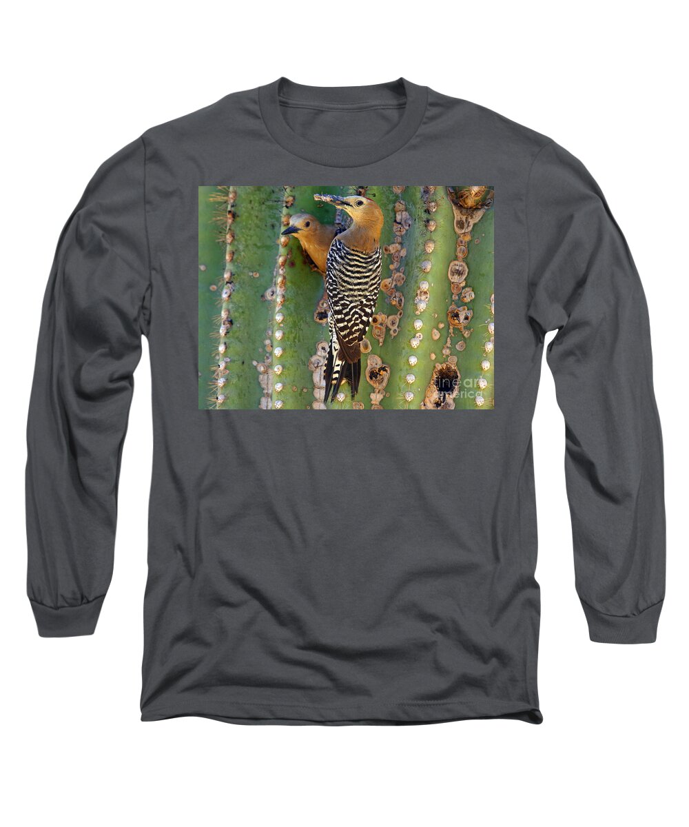 Cactus Long Sleeve T-Shirt featuring the photograph Here's lunch by Bob Hislop