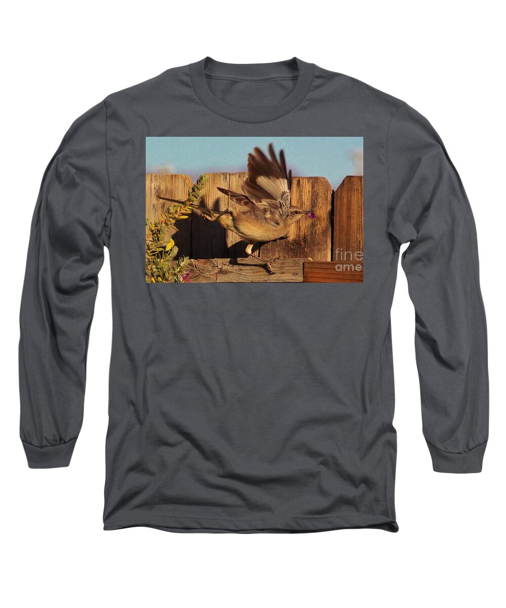 Birds Long Sleeve T-Shirt featuring the photograph Hightail It Out of There by Marcia Breznay