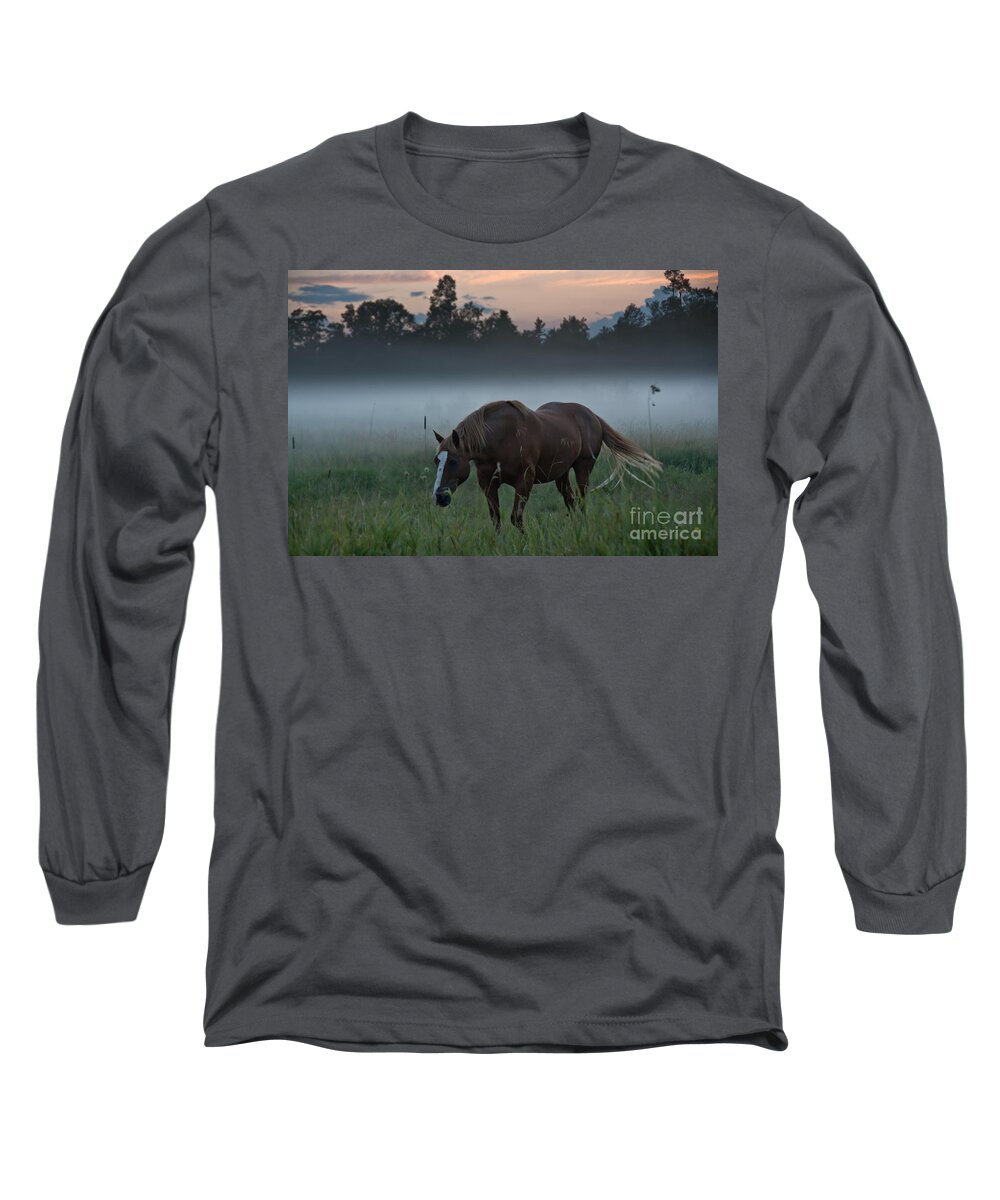 Landscape Long Sleeve T-Shirt featuring the photograph Horse and Fog by Cheryl Baxter
