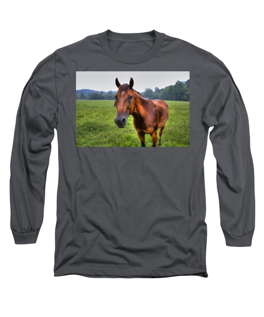 Horse Long Sleeve T-Shirt featuring the photograph Horse in a Field by Jonny D