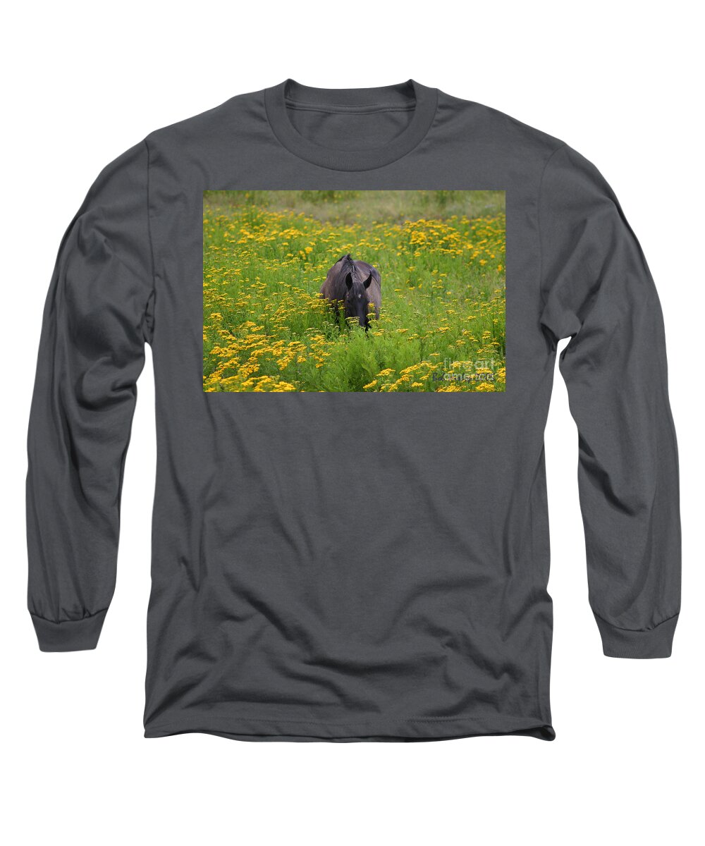 Colorado Long Sleeve T-Shirt featuring the photograph Horse power flower power by Bob Hislop