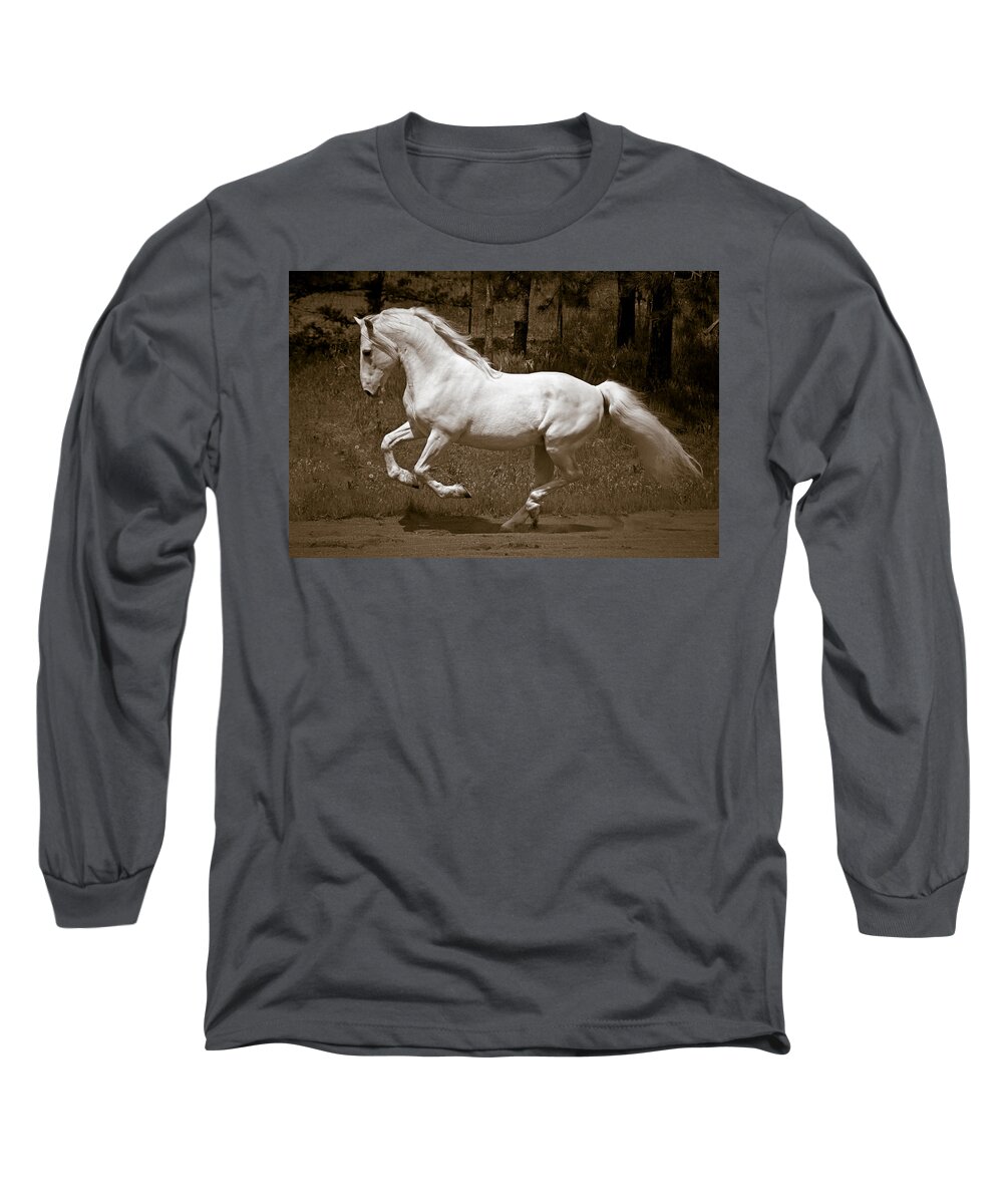 Horsepower Long Sleeve T-Shirt featuring the photograph Horsepower by Wes and Dotty Weber