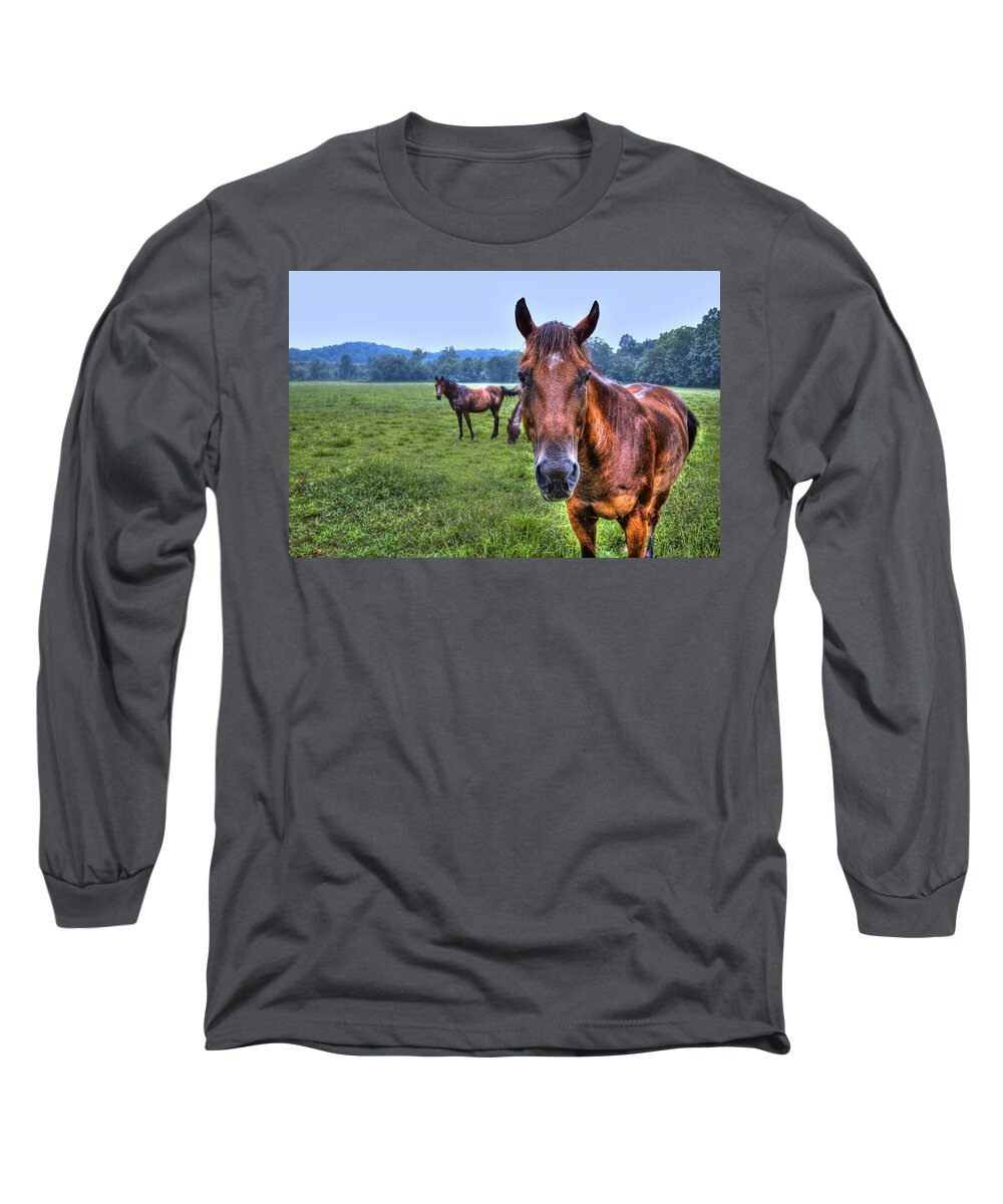 Horse Long Sleeve T-Shirt featuring the photograph Horses in a Field by Jonny D
