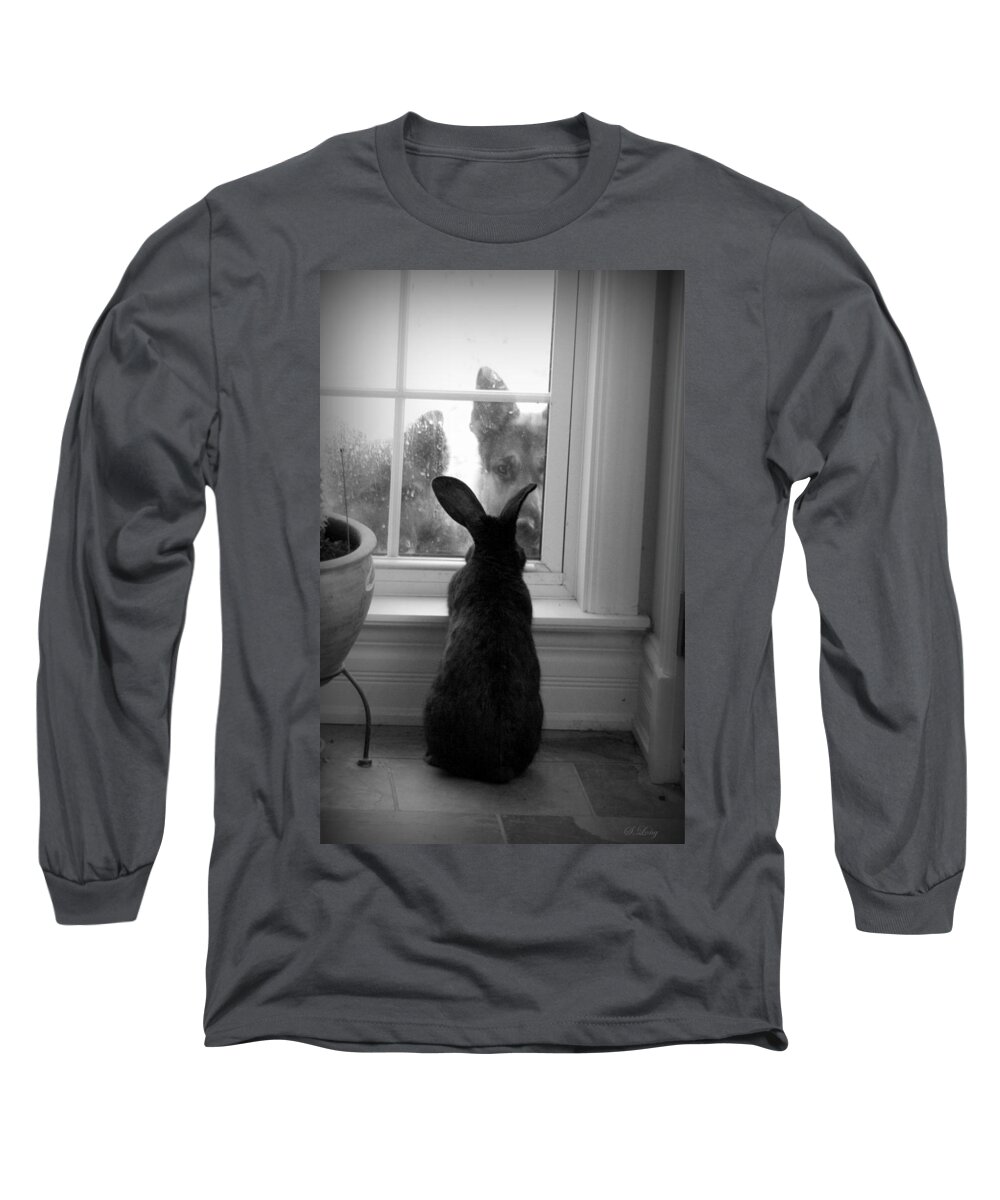 Rabbit Long Sleeve T-Shirt featuring the photograph How much is the doggie in the window? by Sue Long