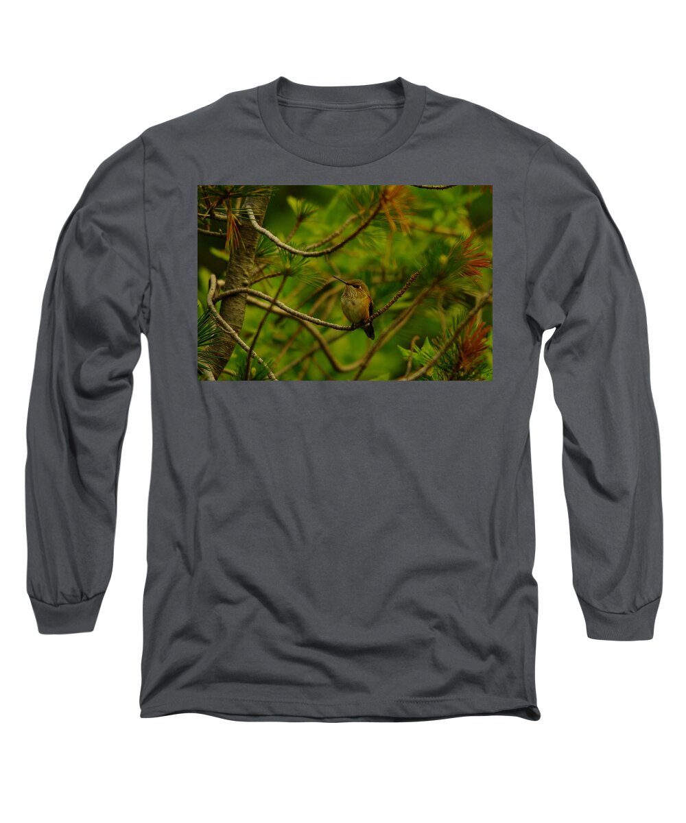 Hummingbirds Long Sleeve T-Shirt featuring the photograph Humming Birds Perched by Jeff Swan