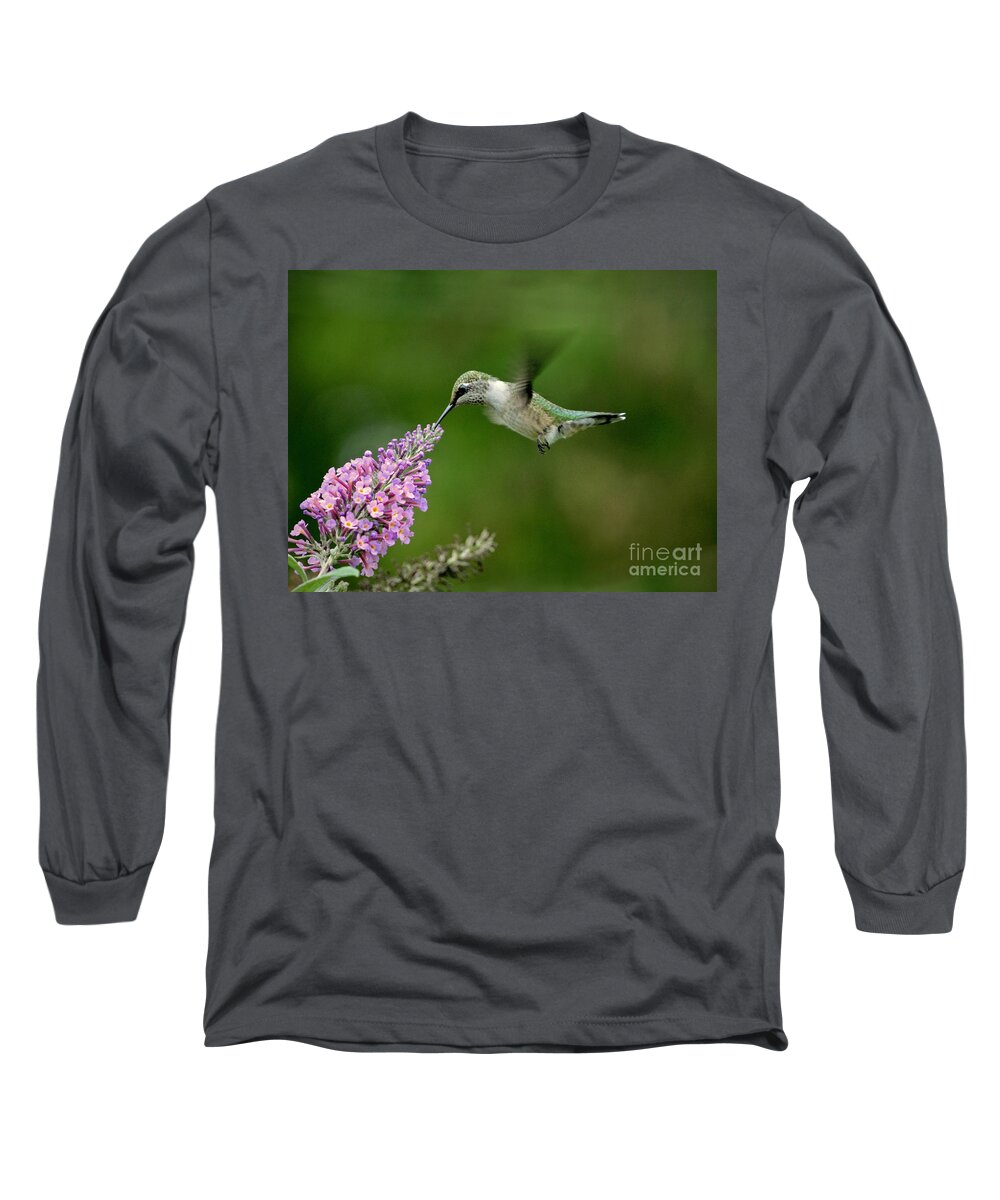 Color Photography Long Sleeve T-Shirt featuring the photograph Humming Butterfly Bush by Sue Stefanowicz