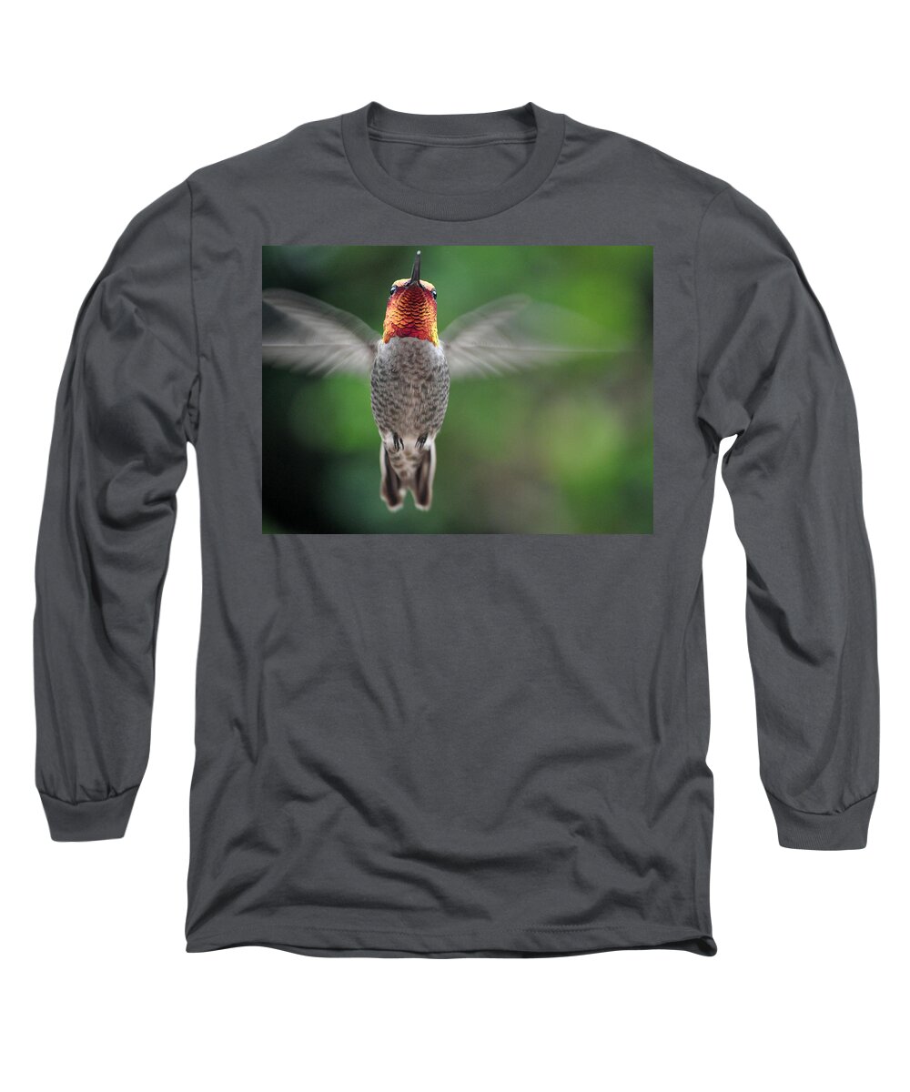 Hummingbird Long Sleeve T-Shirt featuring the photograph Hummingbird In Flight Male Anna by Jay Milo