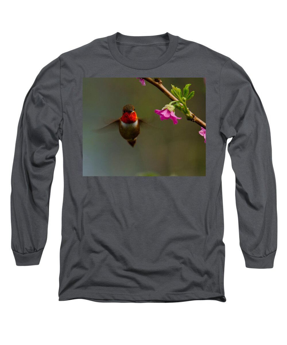 Hummingbird Long Sleeve T-Shirt featuring the photograph Hummingbird by Tikvah's Hope