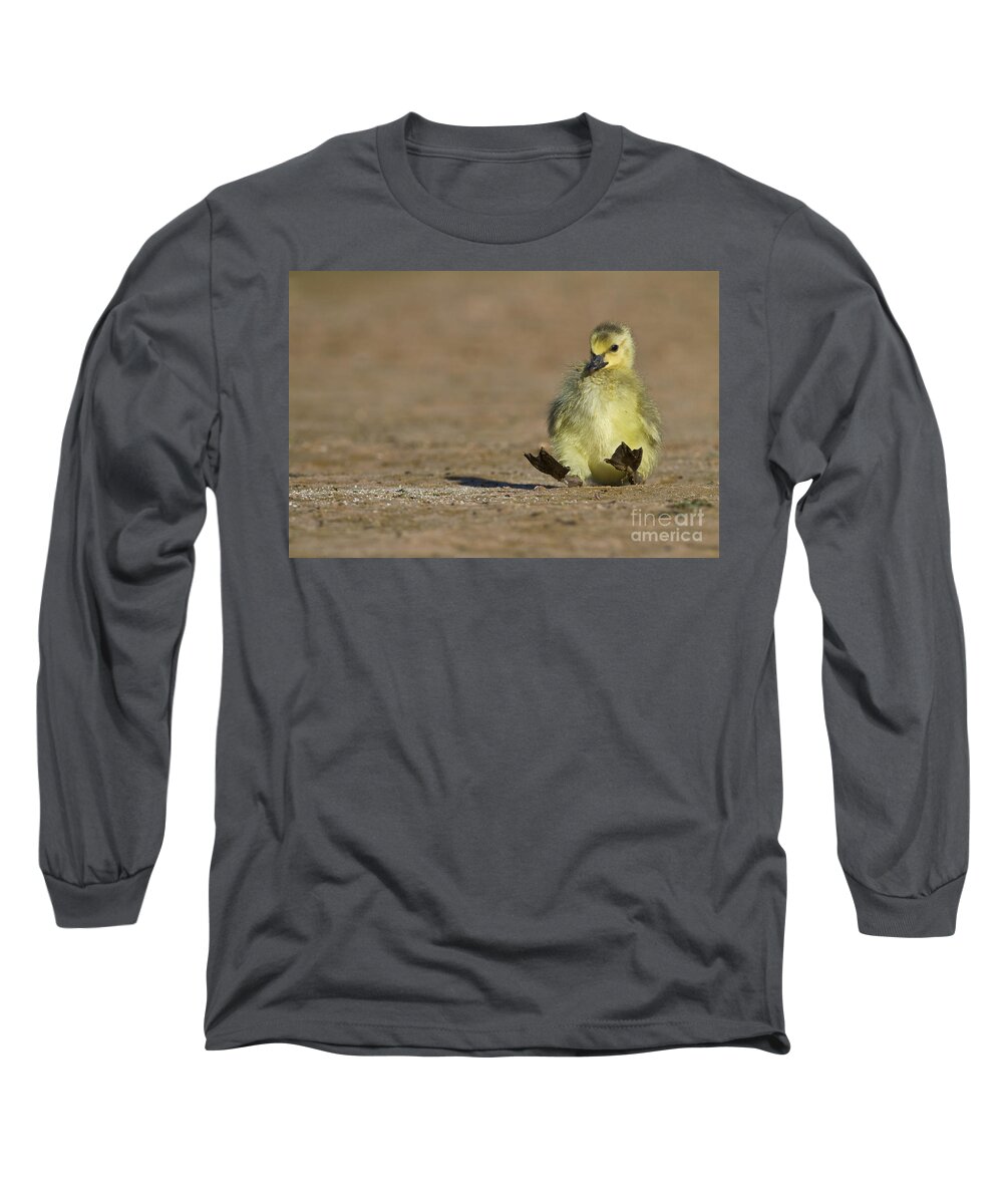 Baby Goose Long Sleeve T-Shirt featuring the photograph I'm falling by Bryan Keil