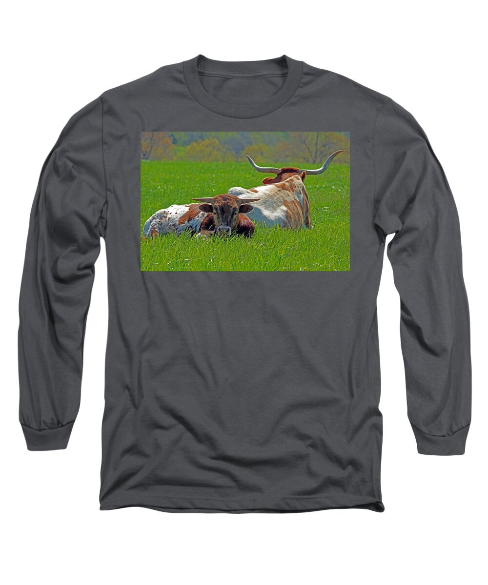 Longhorn Long Sleeve T-Shirt featuring the photograph I'm Just a Baby by Lynn Sprowl