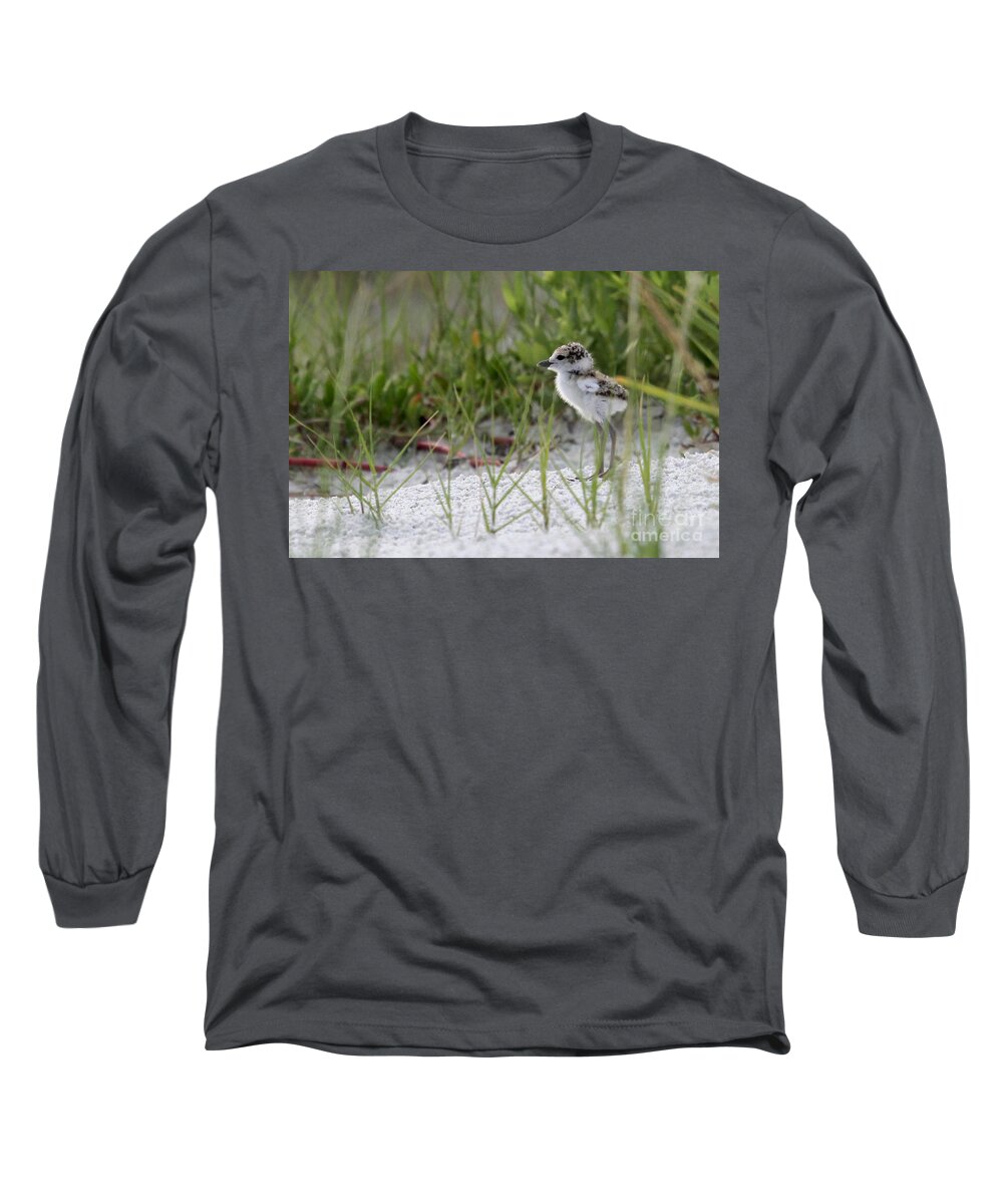 Wilson's Plover Long Sleeve T-Shirt featuring the photograph In the Grass - Wilson's Plover Chick by Meg Rousher