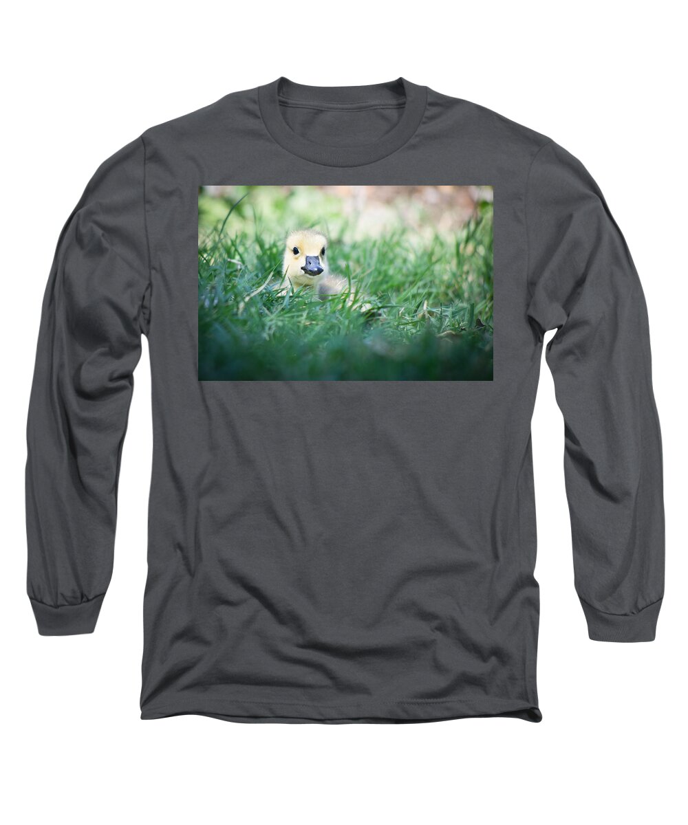Bird Long Sleeve T-Shirt featuring the photograph In The Grass by Priya Ghose
