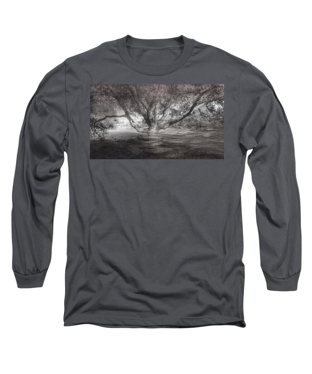 Tree Long Sleeve T-Shirt featuring the photograph In your arms by Suzy Norris