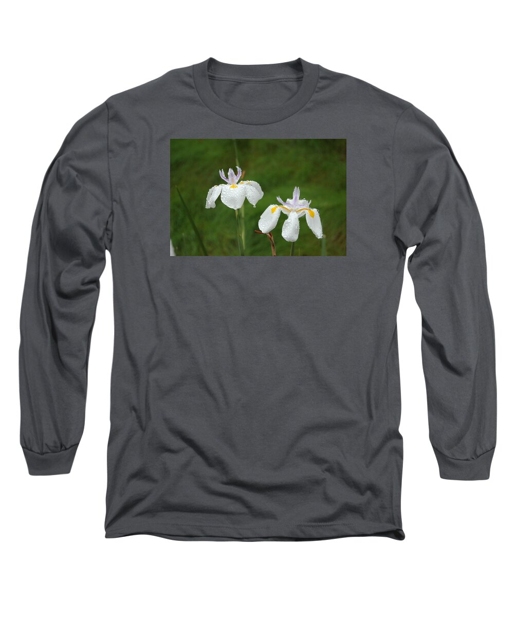 Linda Brody Long Sleeve T-Shirt featuring the photograph Irises In the Rain by Linda Brody