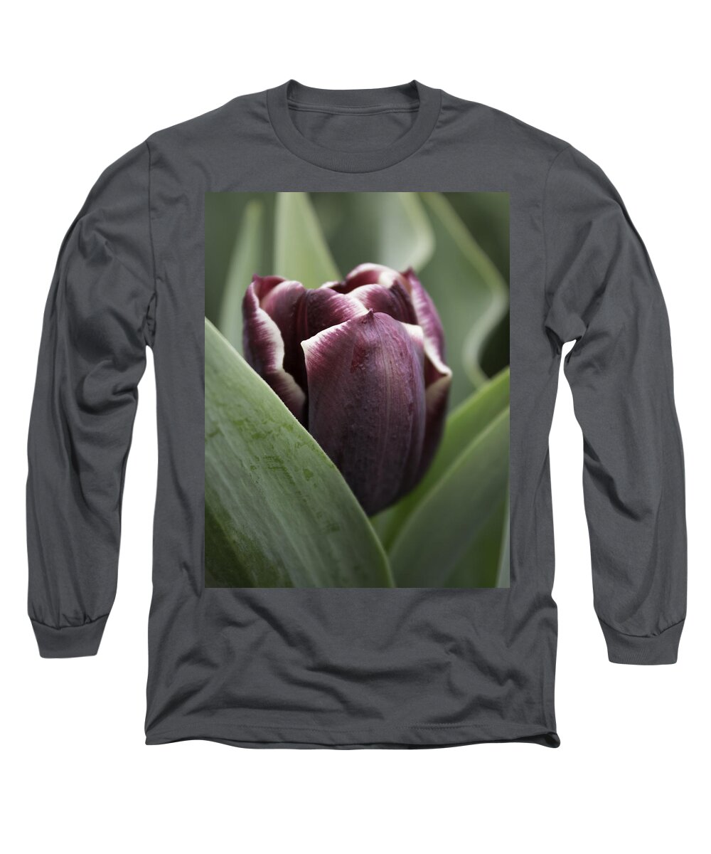 Skompski Long Sleeve T-Shirt featuring the photograph Jackpot Tulip by Joseph Skompski