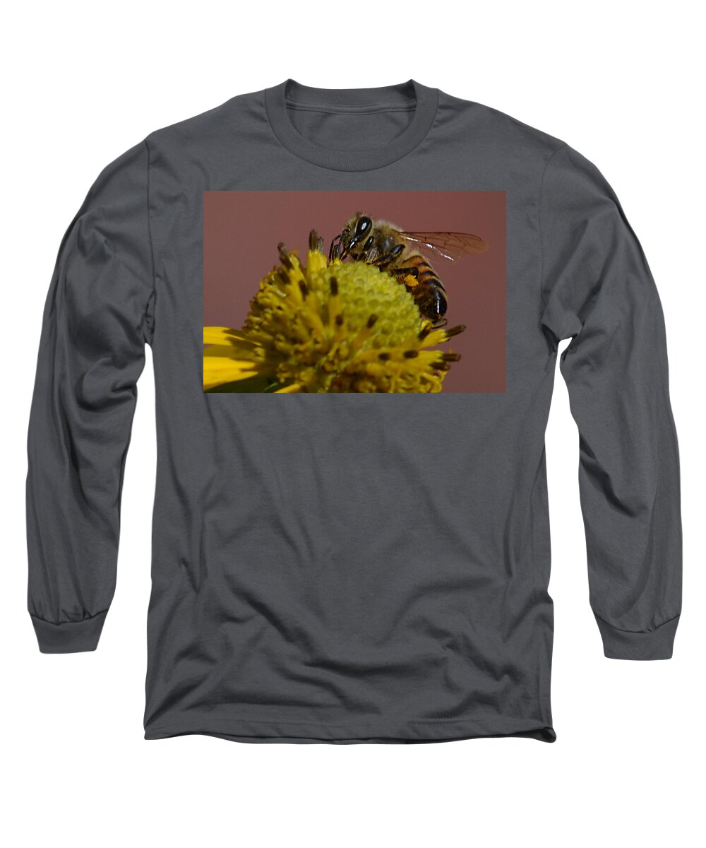 Bee Long Sleeve T-Shirt featuring the photograph Just Bee by Brad Thornton