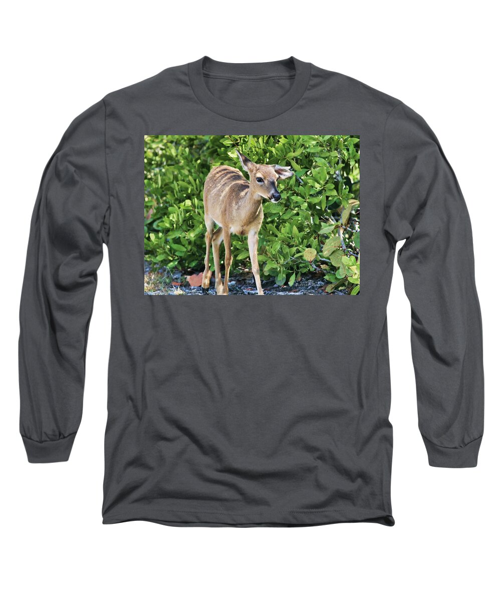 Deer Long Sleeve T-Shirt featuring the photograph Key Deer Cuteness by Deborah Benoit