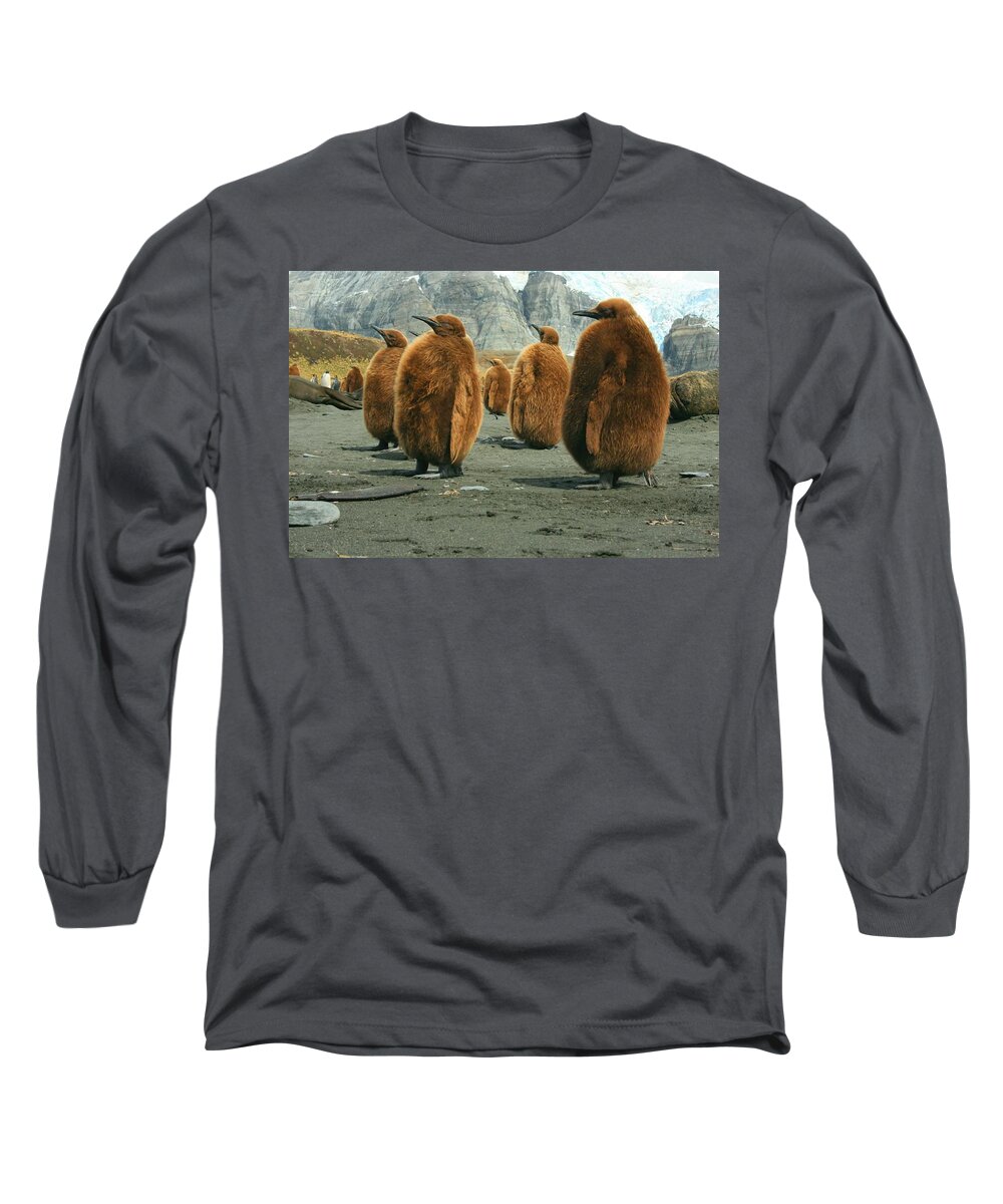 King Penguin Chicks Long Sleeve T-Shirt featuring the photograph King Penguin Chicks by Amanda Stadther