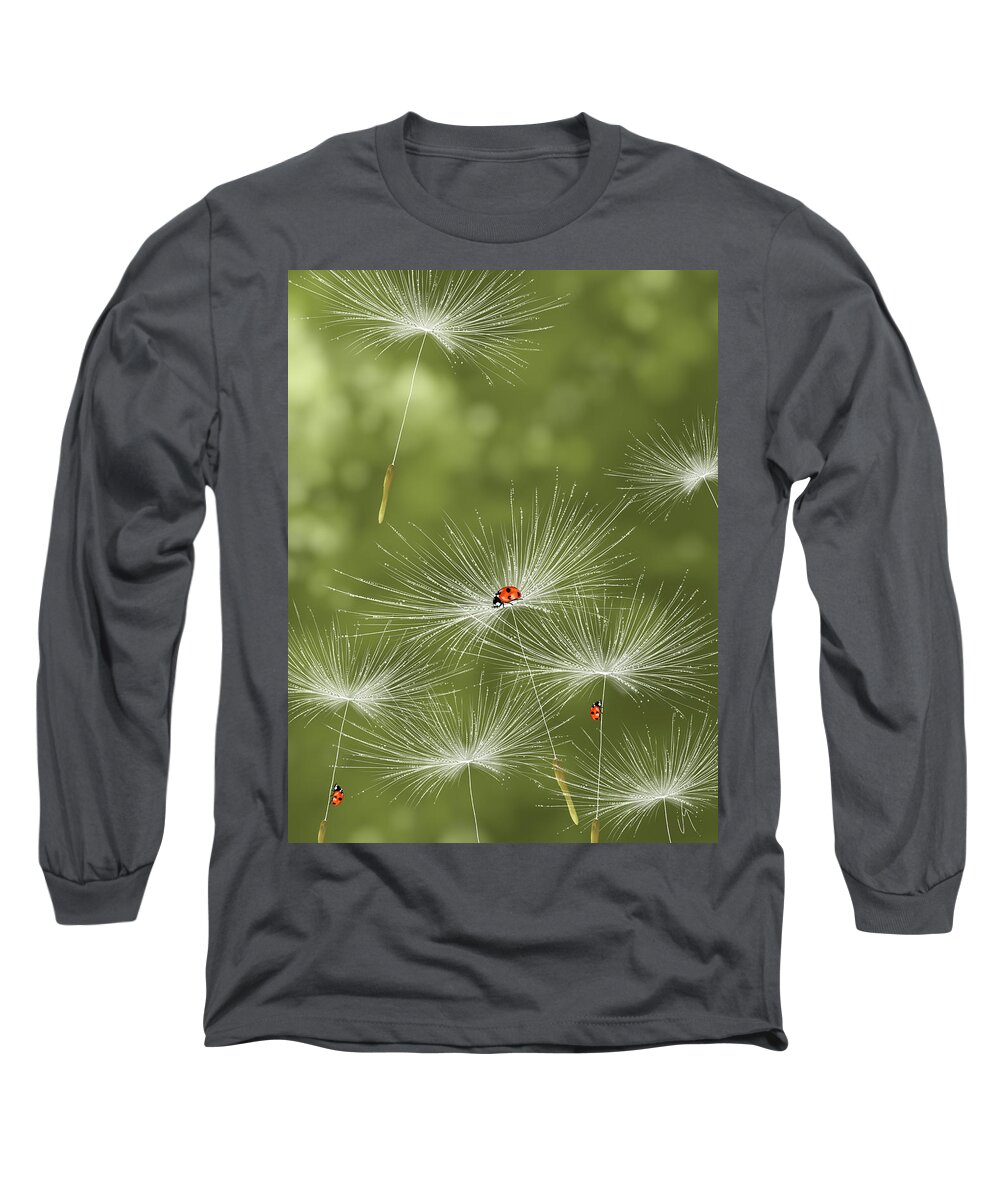 Spring Long Sleeve T-Shirt featuring the painting Ladybug by Veronica Minozzi