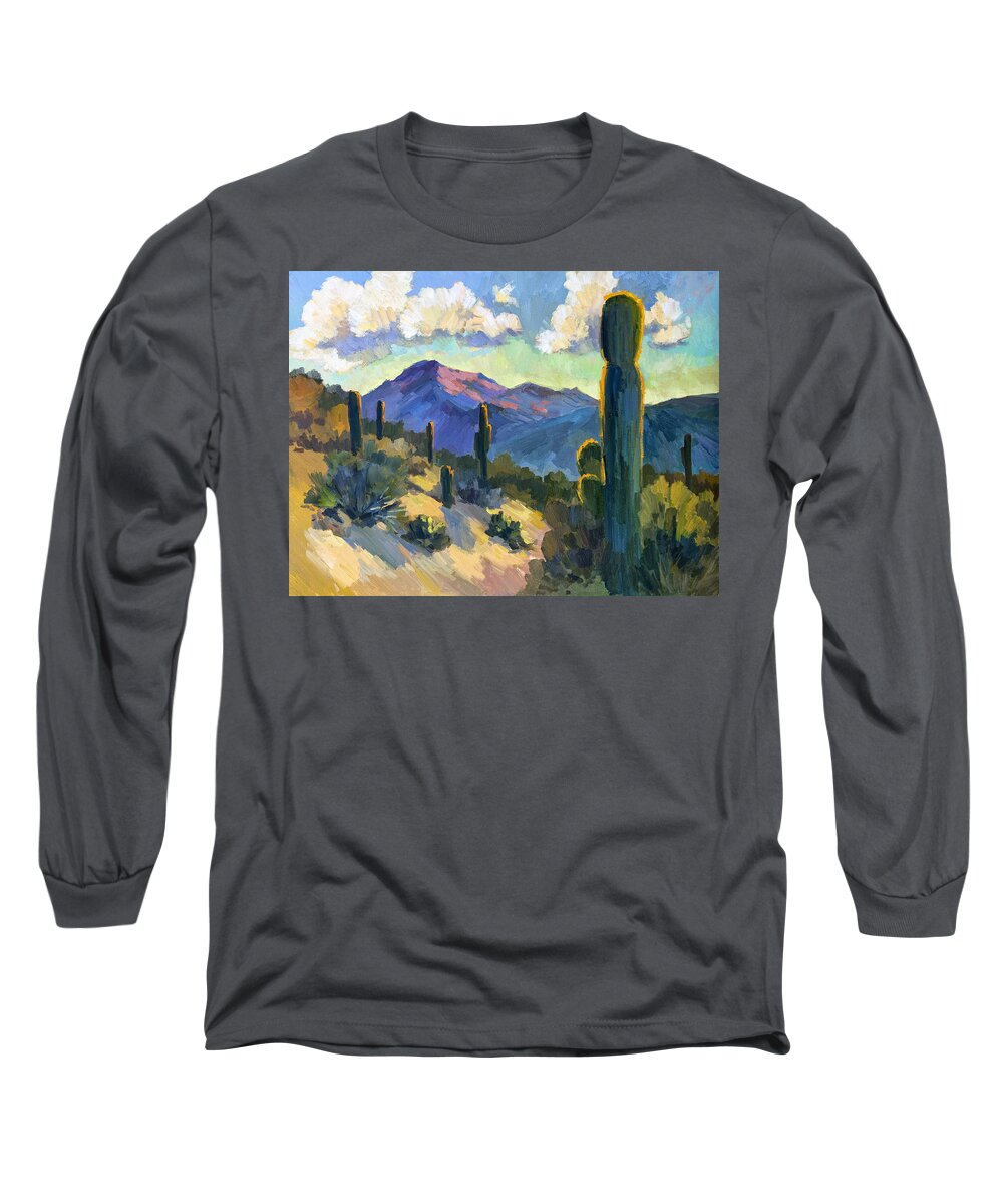 Late Afternoon Long Sleeve T-Shirt featuring the painting Late Afternoon Tucson by Diane McClary