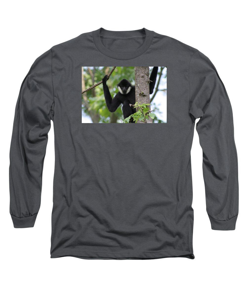 Gibbon Long Sleeve T-Shirt featuring the photograph Male White Cheeked Gibbon by Valerie Collins