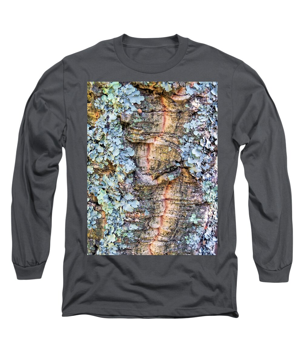 Lichen Long Sleeve T-Shirt featuring the photograph Lichen by Lynn Bolt