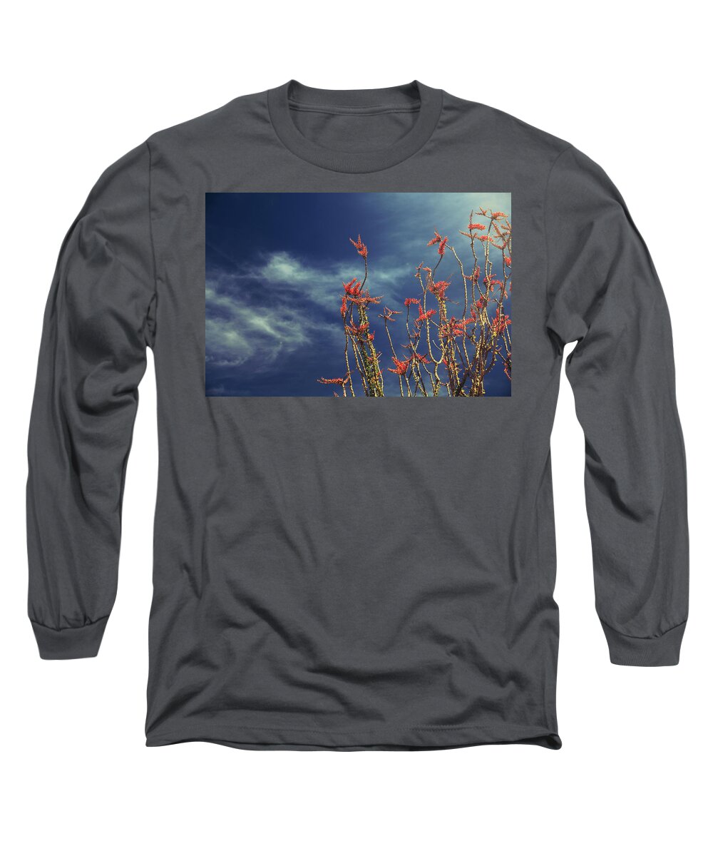 Joshua Tree National Park Long Sleeve T-Shirt featuring the photograph Like Flying Amongst the Clouds by Laurie Search