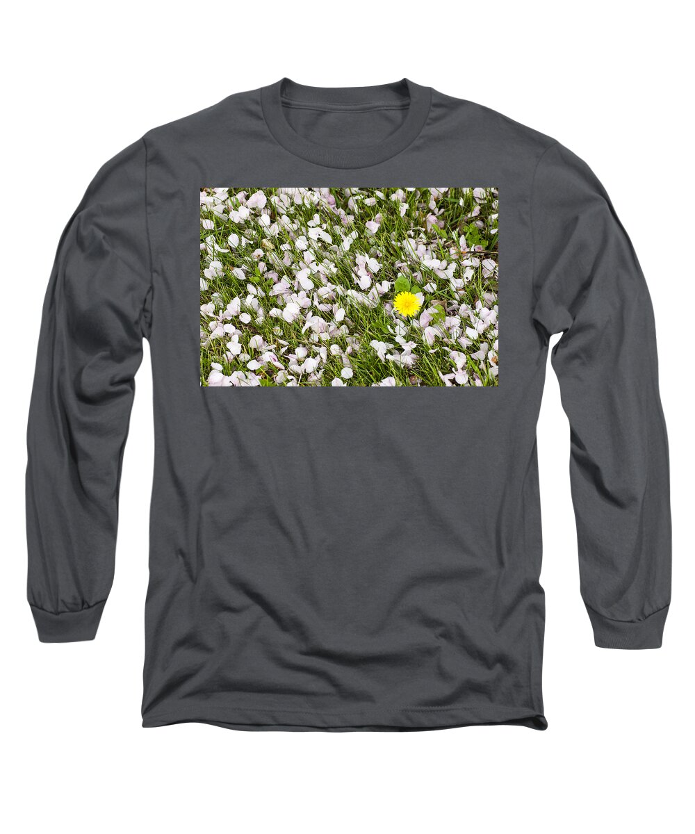 Grass Long Sleeve T-Shirt featuring the photograph Lilac Petals - Arboretum - Madison by Steven Ralser