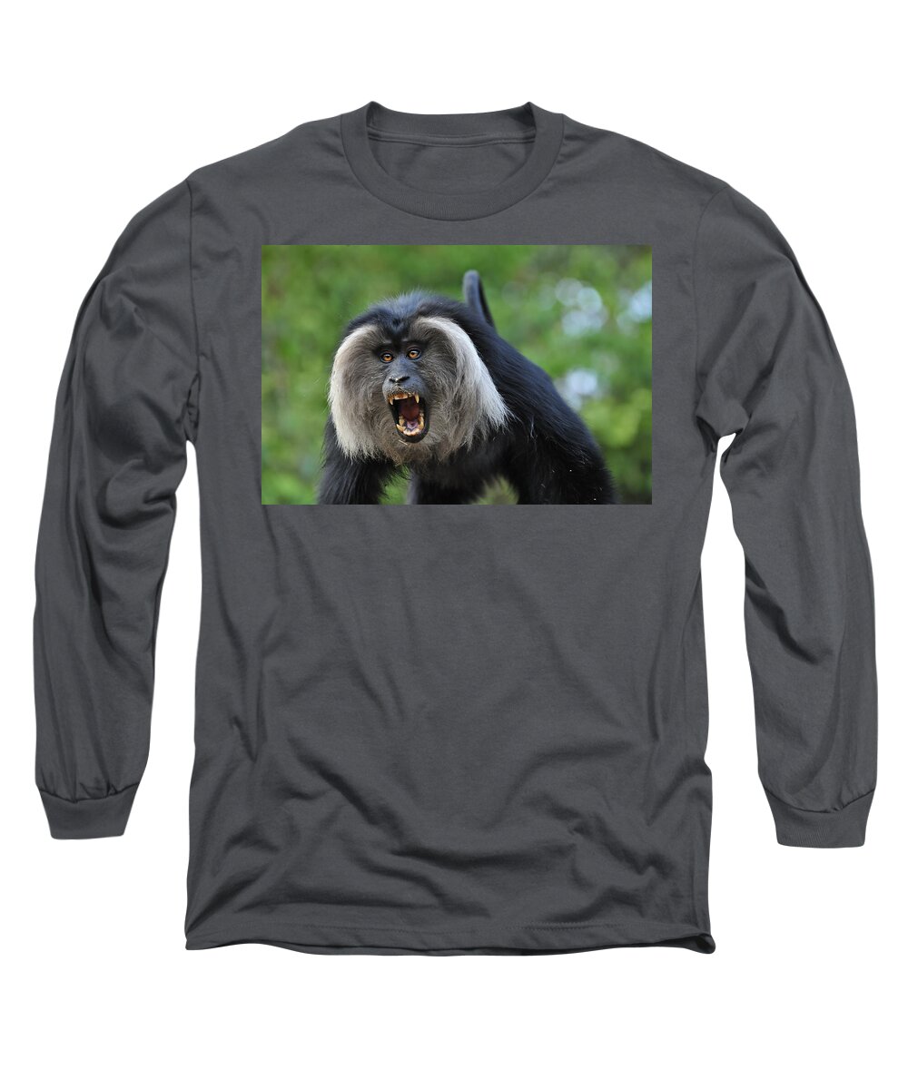 Thomas Marent Long Sleeve T-Shirt featuring the photograph Lion-tailed Macaque Threat Display India by Thomas Marent