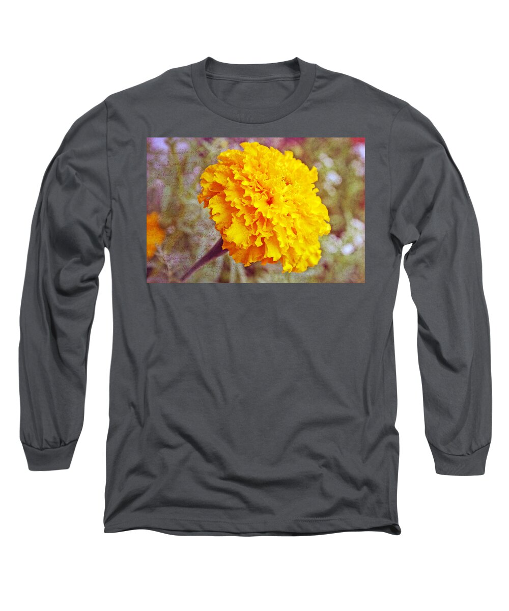 Nature Long Sleeve T-Shirt featuring the photograph Little Golden Marigold by Kay Novy