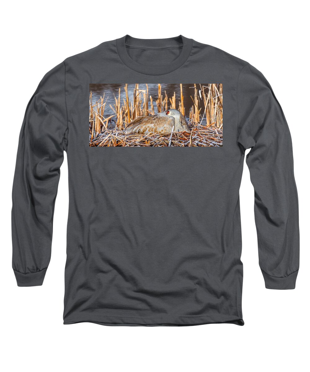 Big Horn Sheep Long Sleeve T-Shirt featuring the photograph Long Wait by Kevin Dietrich