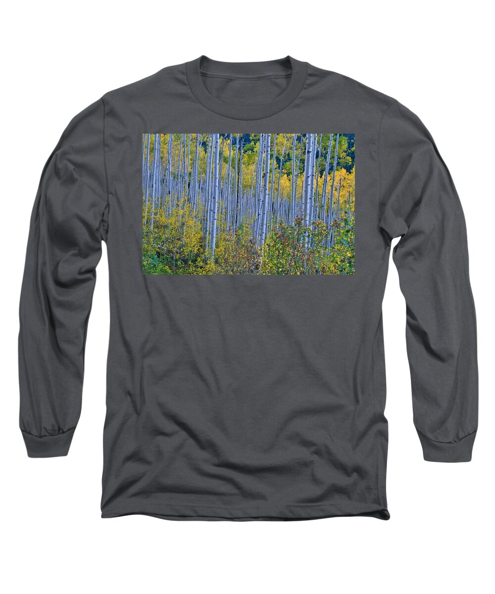 Aspen Grove Long Sleeve T-Shirt featuring the photograph Lost in the Crowd by Jeremy Rhoades